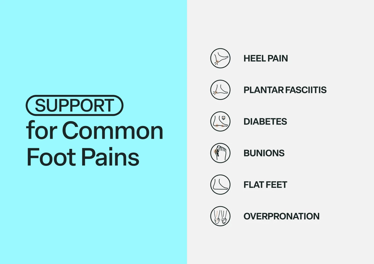 Shelly - Leopard